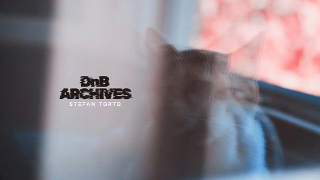 Stefan Torto - DnB Archives