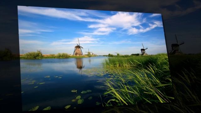 Skin-Divers - Old Cinema About My Lifes