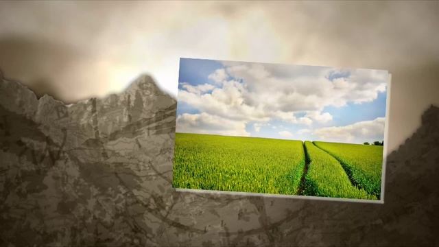 Skin-Divers - Spiral