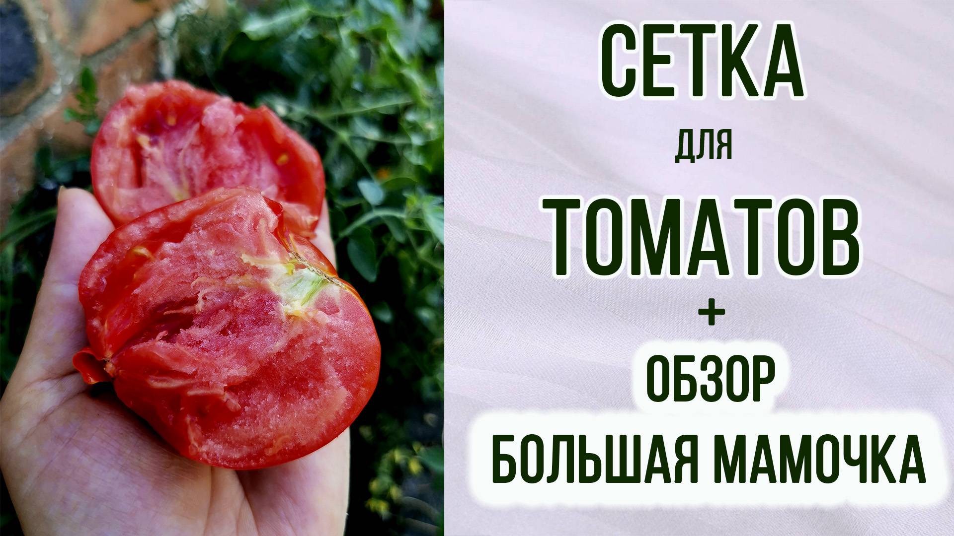 Сетка для томатов нужна ли? Сравнение в открытом грунте. + Обзор "Большая мамочка"