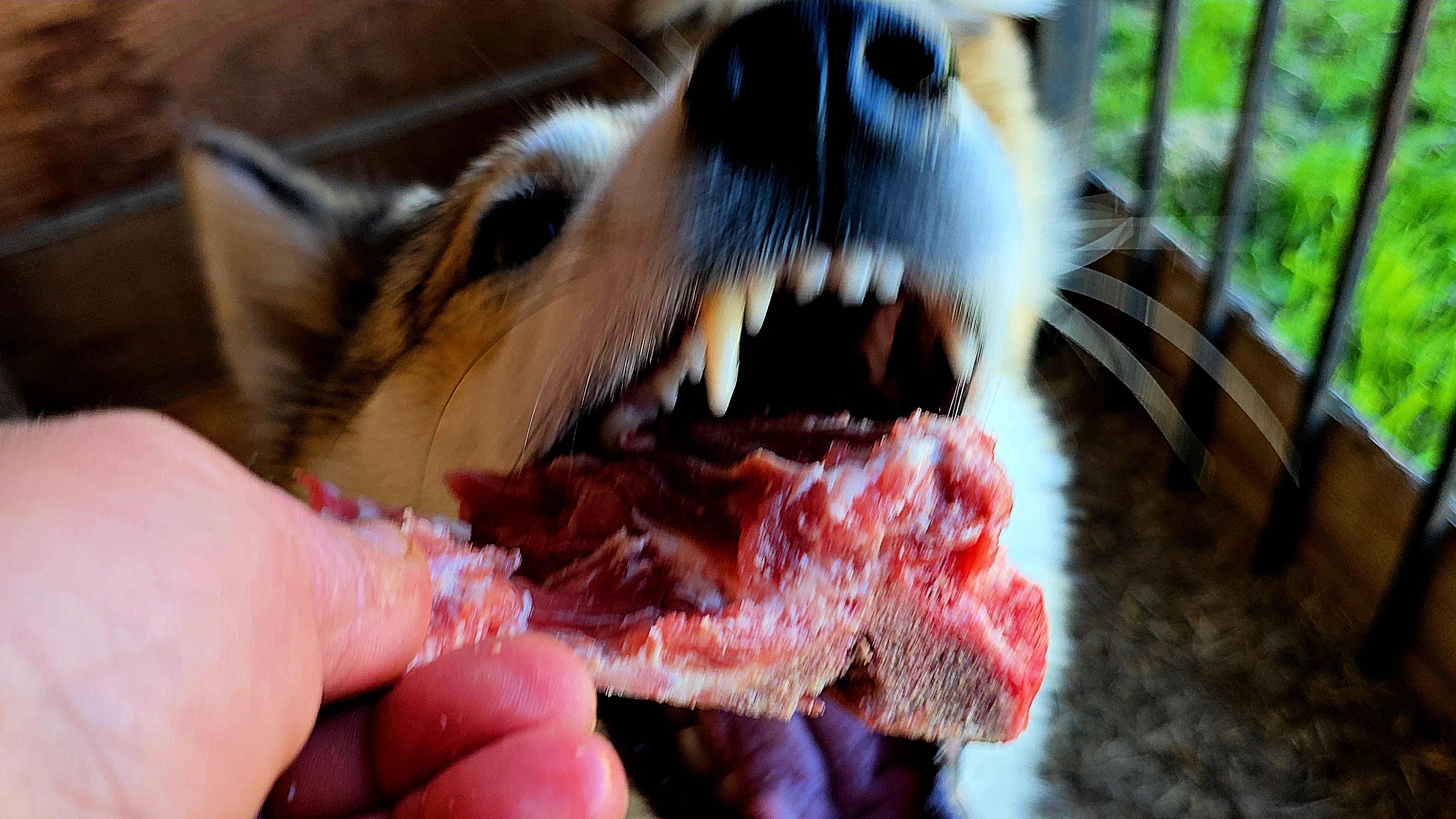 Косточки на пять минут