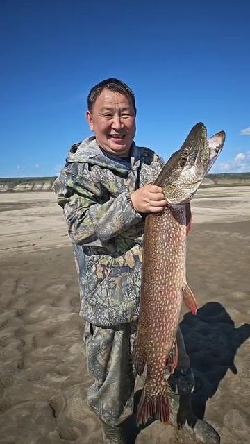 Поймал рыбу своей мечты! Остров Аан. Фирма "Аан Тур" 24.08.2025 г. #lena @rive# #pike #лена #щука