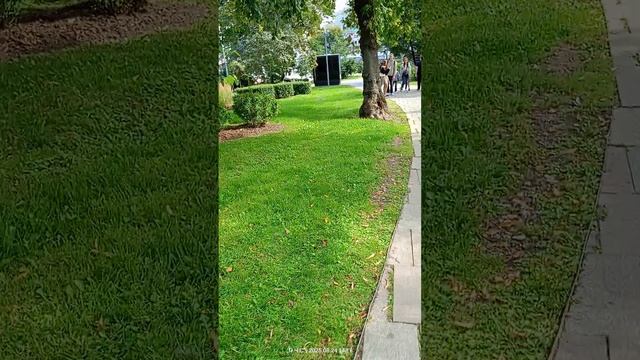 Сквер в центре Москвы