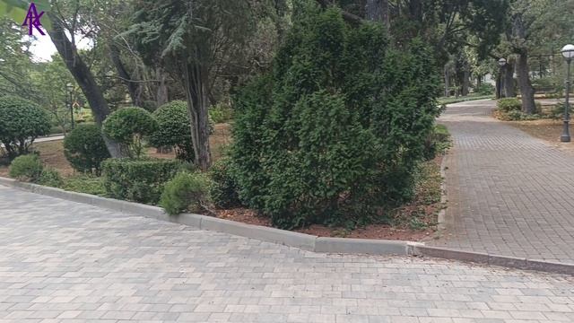 Крым. ЮБК. Гаспра. Цветочки и немножко о погоде. #юбк #гаспра  #андрейкрымский #артемийкрым 24.08.25