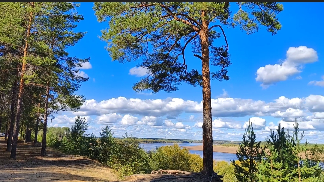 Выезд на природу с друзьями