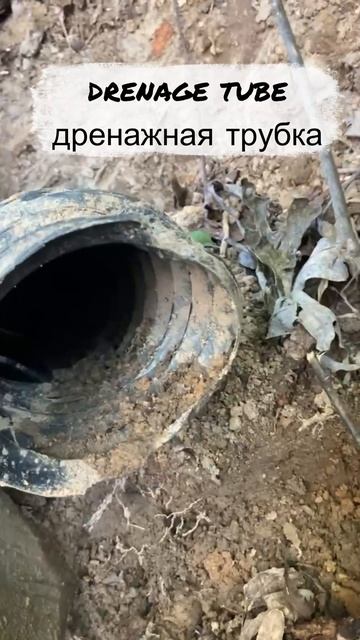 Summer Project Complete! 🚧 | Garage Drainage System