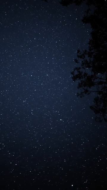 Это - звёздная ночь