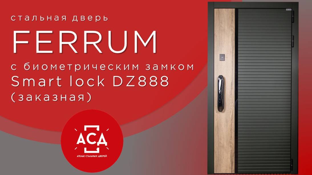 FERRUM с биометрическим замком Smart lock DZ888