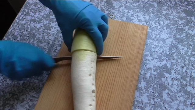 Дайкон сорт МОСКОВСКИЙ БОГАТЫРЬ