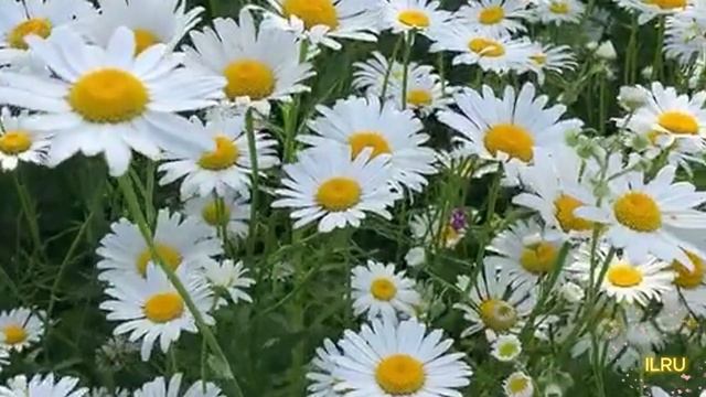 Истории из жизни аудио рассказы слушать бесплатно - Как начать жизнь с чистого листа...