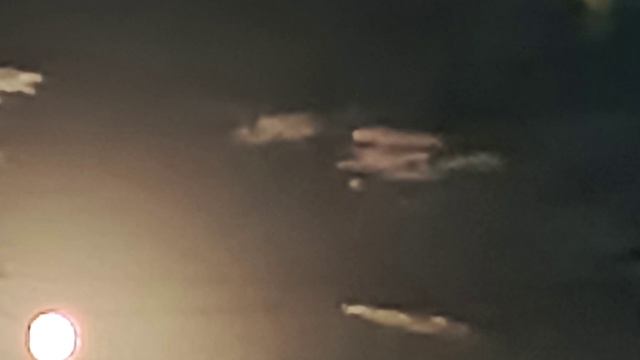 Спокойная ночь 9 (осень-2024)