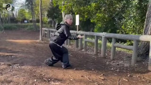 065 лабиринты кунфу