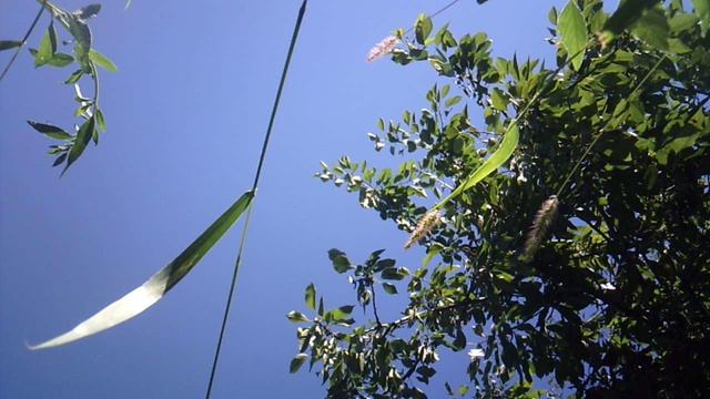 Другой фрагмент прополки сада