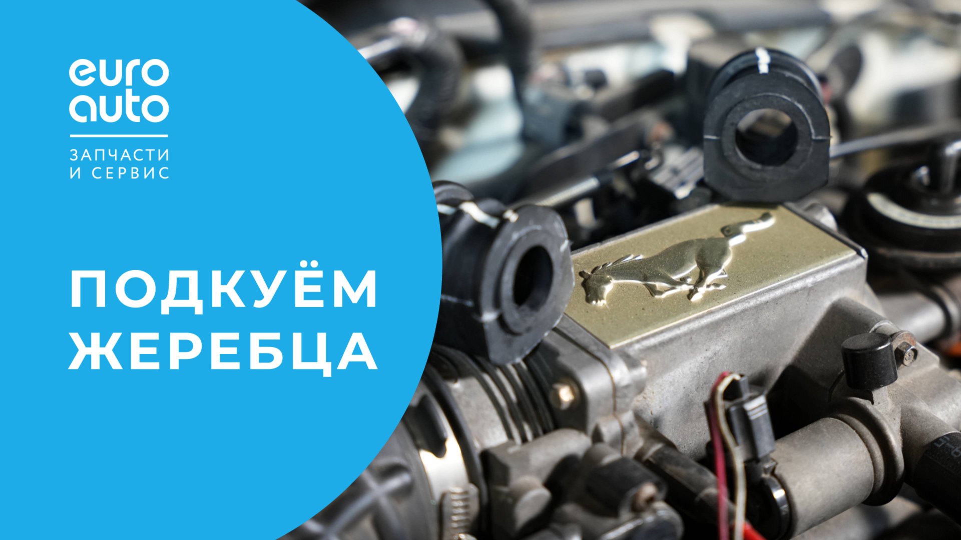 Замена втулок стабилизатора на Форд Мустанг 4 поколения