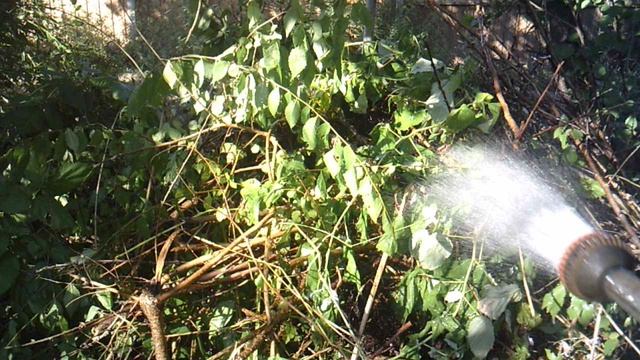 Орошение пополняемой компостной кучи