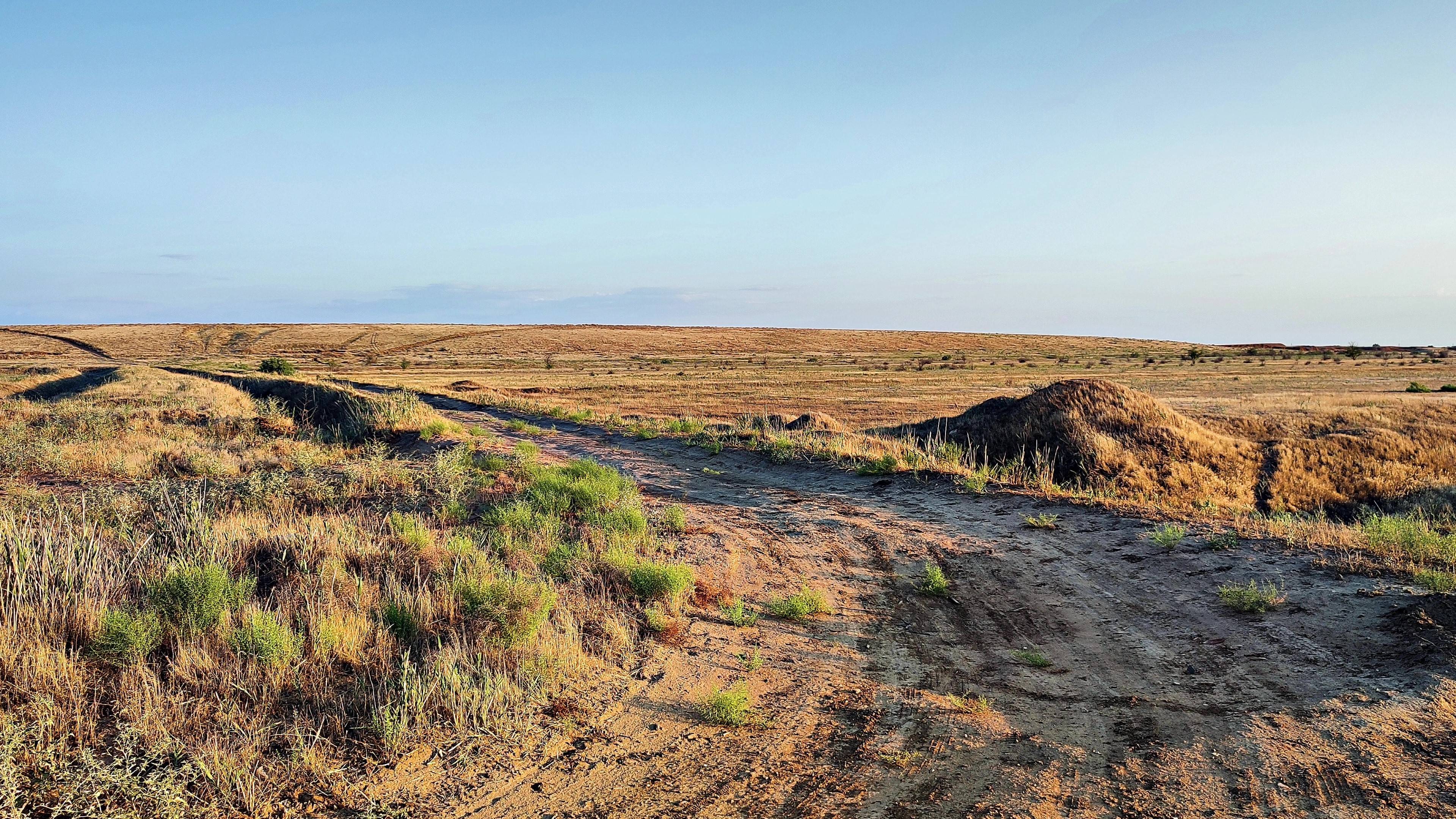 Степные просторы: музыка природы для расслабления