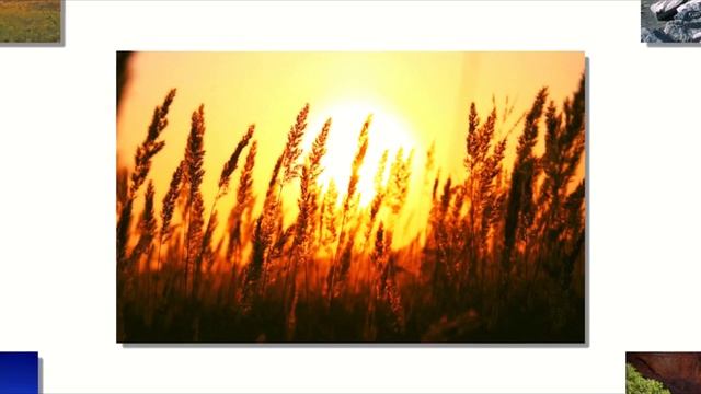 CJ Mind -  Four Elements