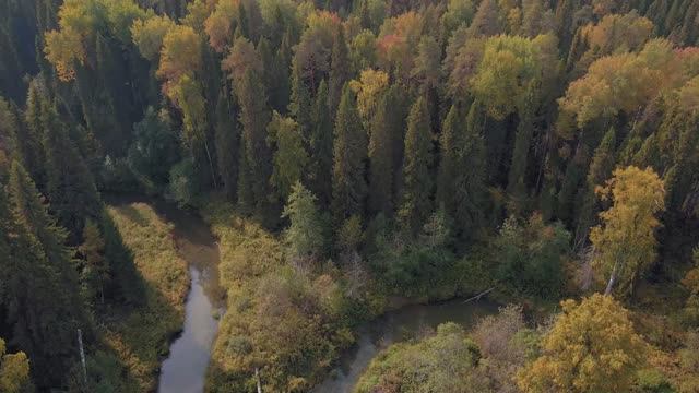 Национальный парк "Койгородский", Республика Коми
