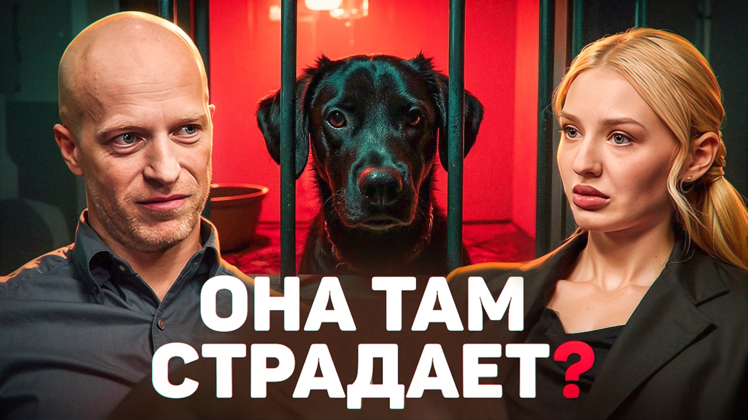 Что будет, если вы оставите собаку чужому человеку? Догситтер о своей работе / Догси Подкаст #2