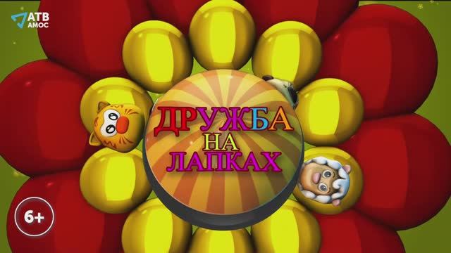 Дружба на лапках. Елизавета и её лабрадор Нора