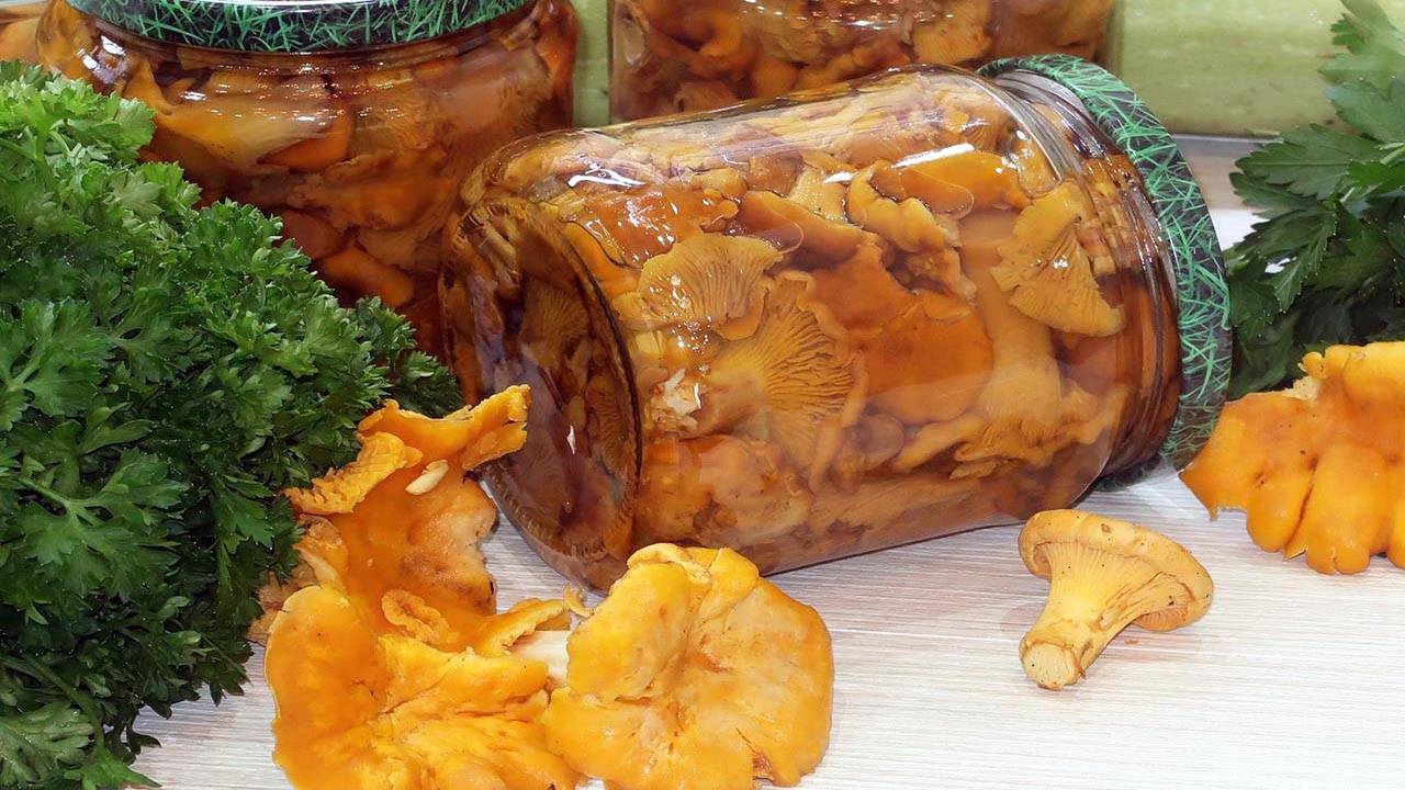 Маринованные лисички на зиму