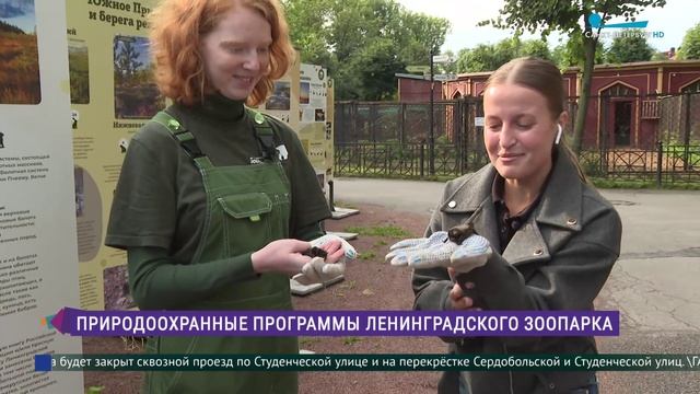 Природоохранные проекты Ленинградского зоопарка