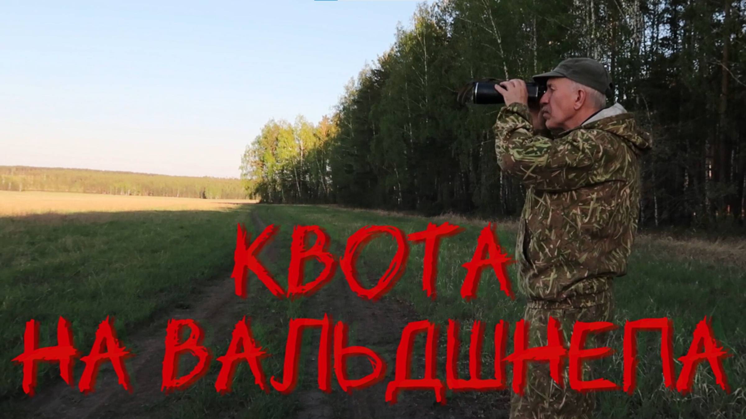 Квота на вальдшнепа