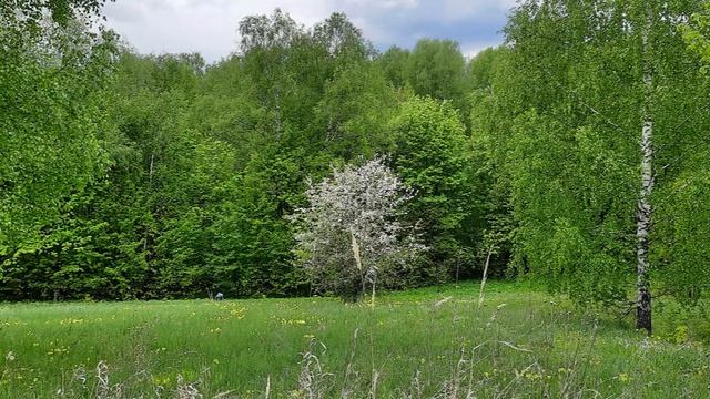 вторая часть бодхиньяна