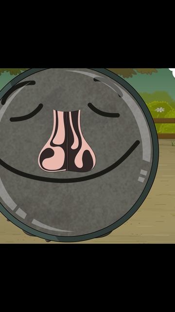 Почему мы дышим через одну ноздрю?