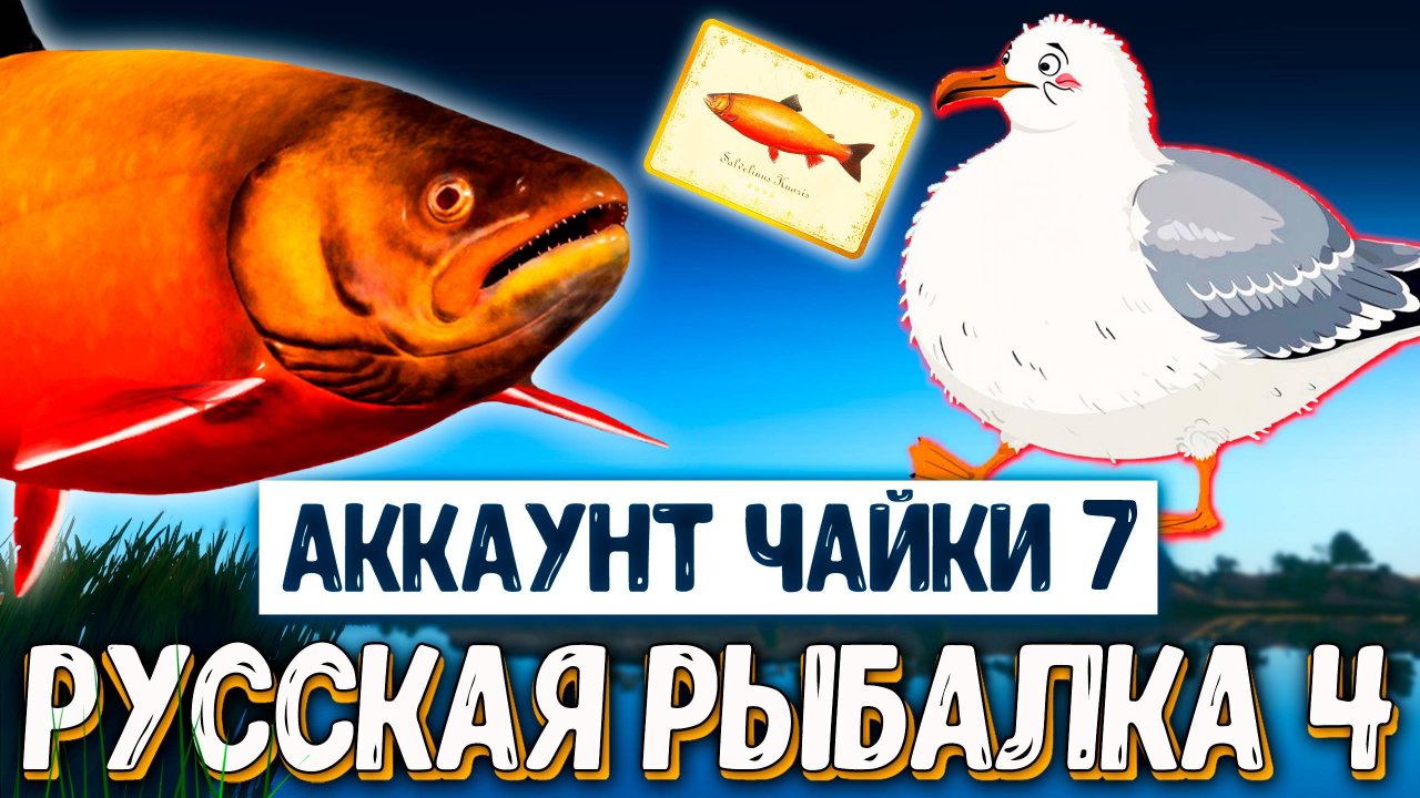 Rf4 подарили топ удилища из чата, катушки, род-под и многое другое #рр4