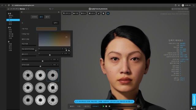 09-Using Metahuman Creator