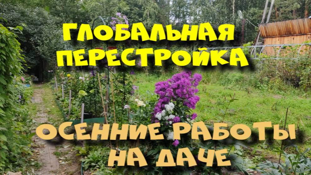 ОСЕННИЕ ПЕРЕСТАНОВКИ В САДУ. ПЛАНЫ НА ОСЕНЬ.