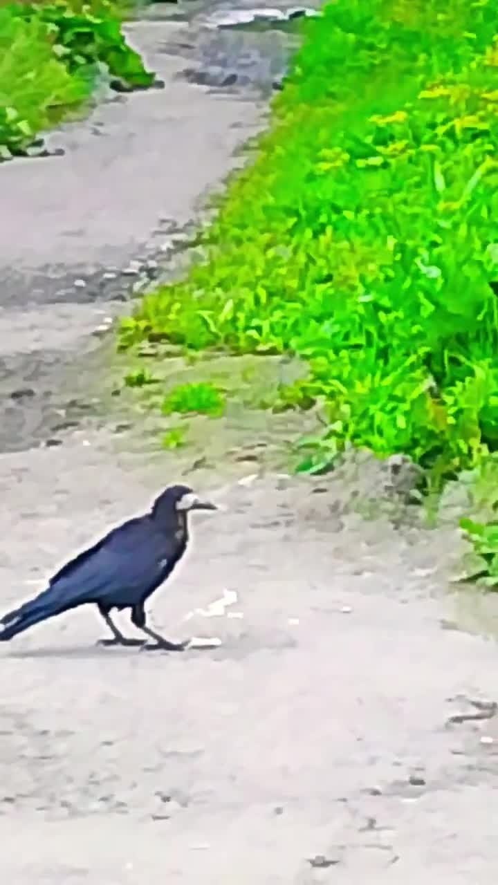 Честным трудом!😁🦅