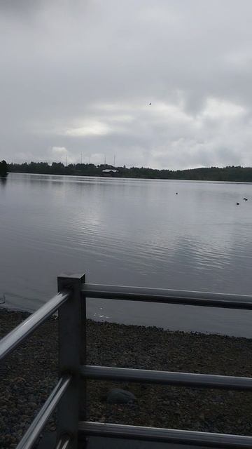 28-08-2025. Мурманск. это ностальгия?