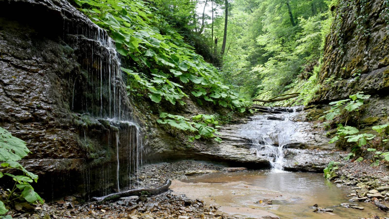 Гуляем по ущелью реки Аминовка (Адыгея): рассказываю все про маршрут и показываю красоты