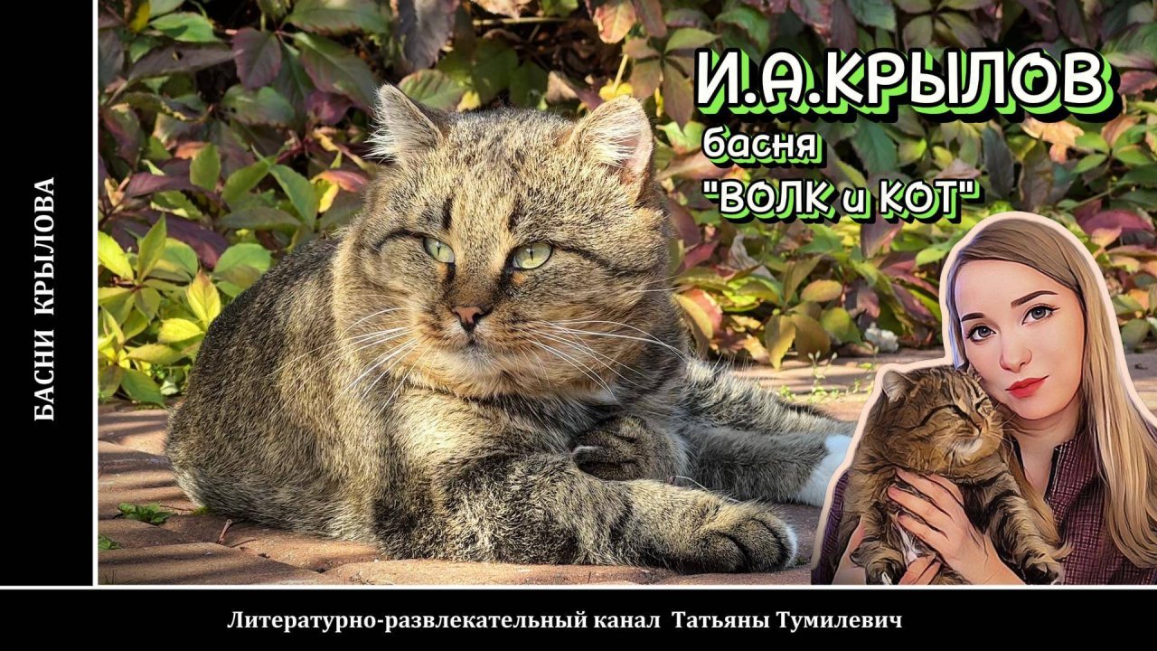 И.А.КРЫЛОВ басня "ВОЛК и КОТ". Читает Таня Тумилевич и Барсик.