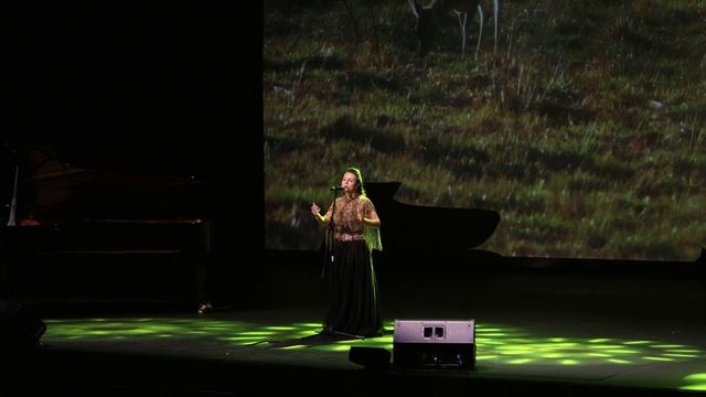 Now We Are Free - Екатерина Шелехова