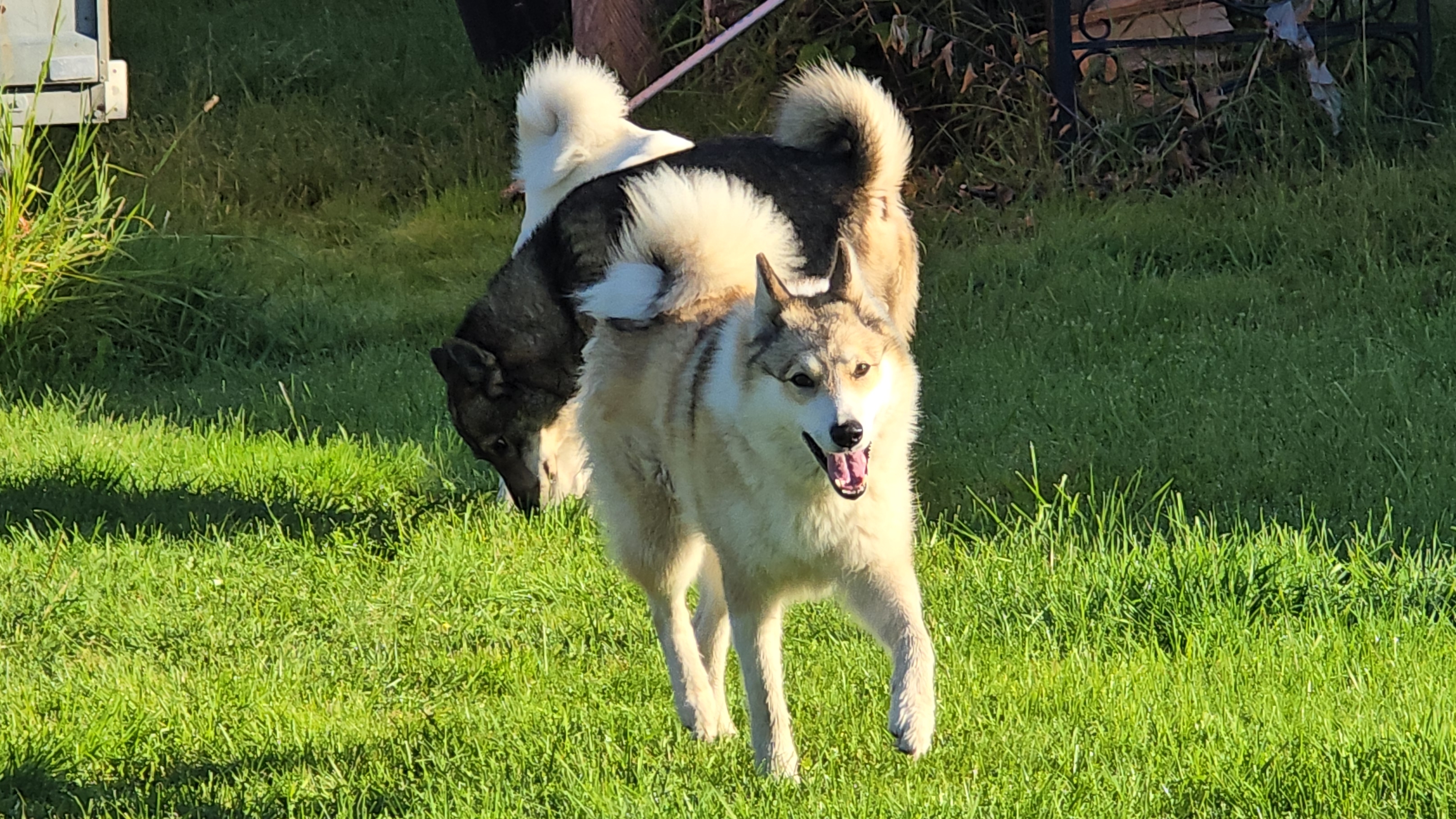 Перед работой с лайками