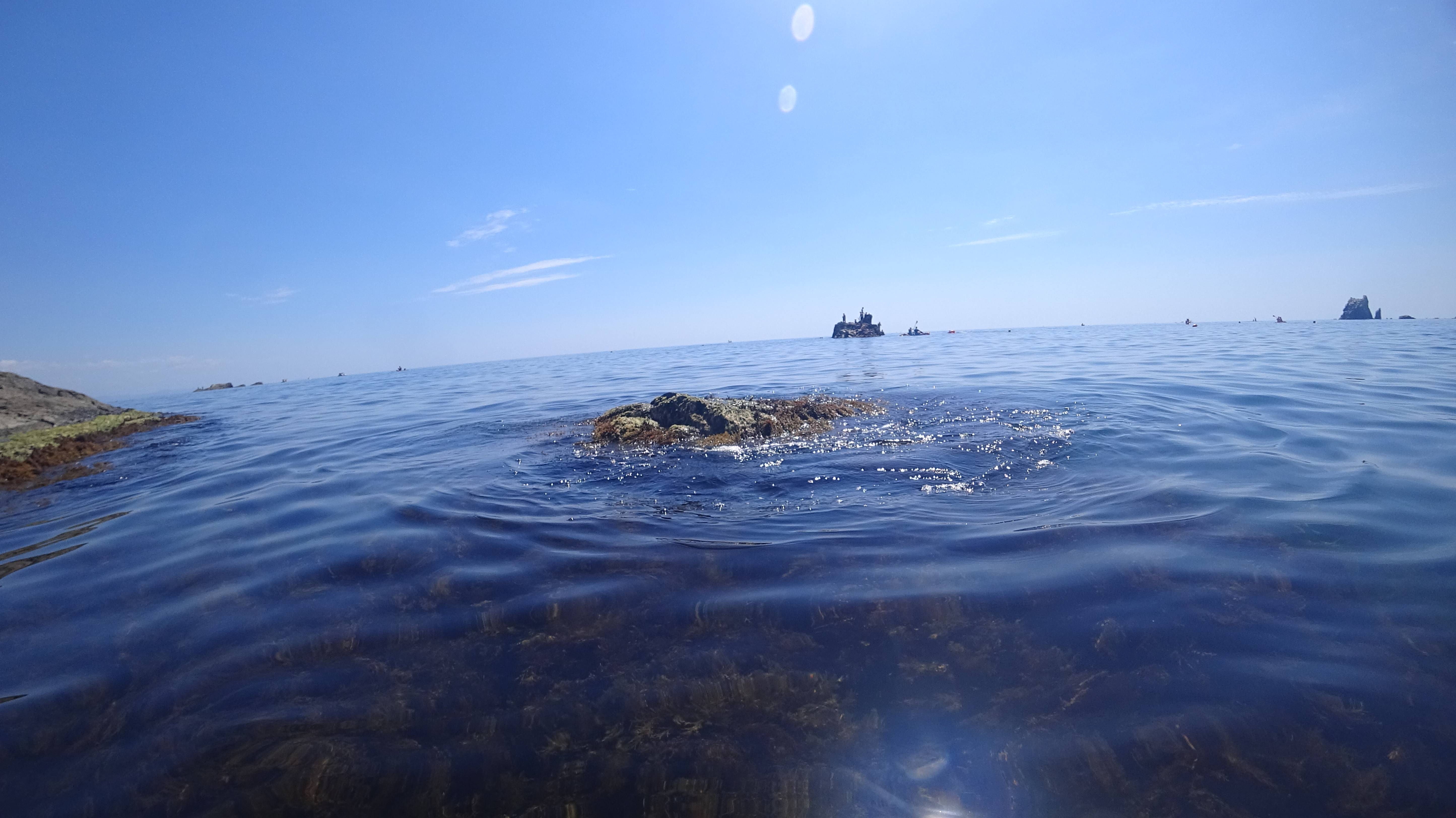 Подводная жизнь черного моря с прекрасной музыкой. Отдых в поселке Утес Крым
