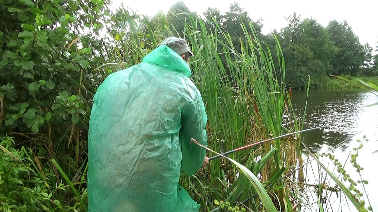 Рыбалка 27 августа на поплавок, как она есть на озере, в плохую погоду