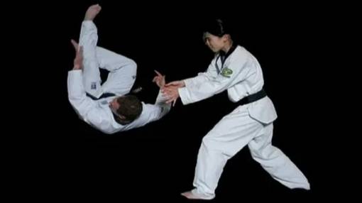 Стив Секстон ХАПКИДО: САМООБОРОНА НА ПРЕДЕЛЕ 1