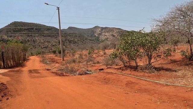 ВОСХОЖДЕНИЕ НА ГОРУ В АФРИКЕ / ПРОВИНЦИЯ ВОЙ