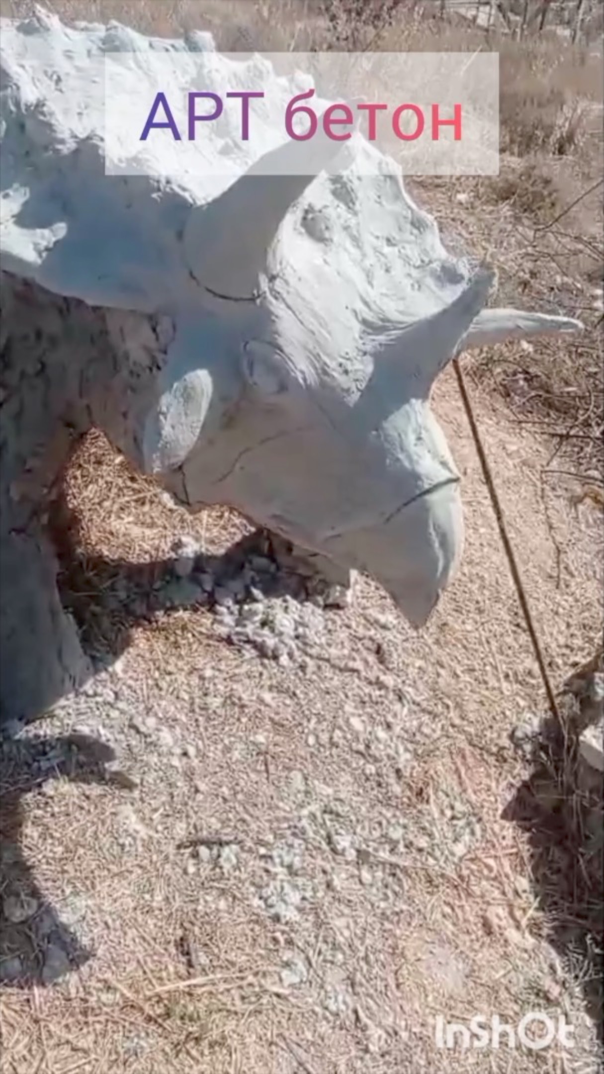 Из жизни отдыхающих...