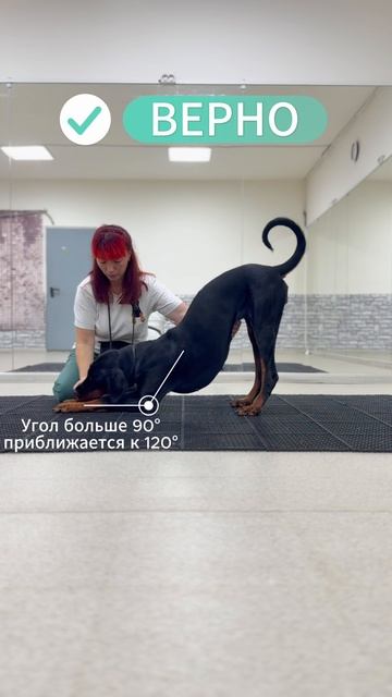 Активна растяжка флексоров плечелопаточного сустава (поклон) #максимпомог #растяжка