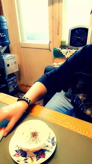 Ломоносовский фарфор