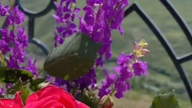 Слушать рассказы из жизни людей интересные истории. Предательство в любви...