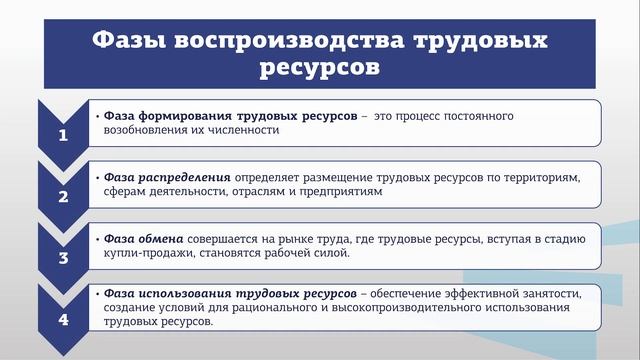 Комарова 1 2 экономика