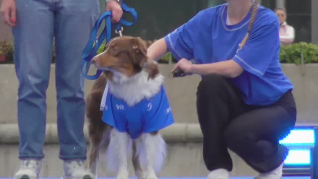 ДИНАМО НА ЛЕТФЕСТ 2025 МОСКВА