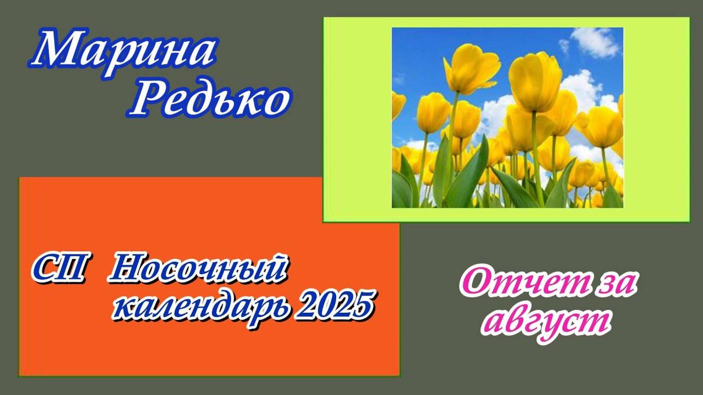 СП "Носочный календарь 2025" / Отчет за август