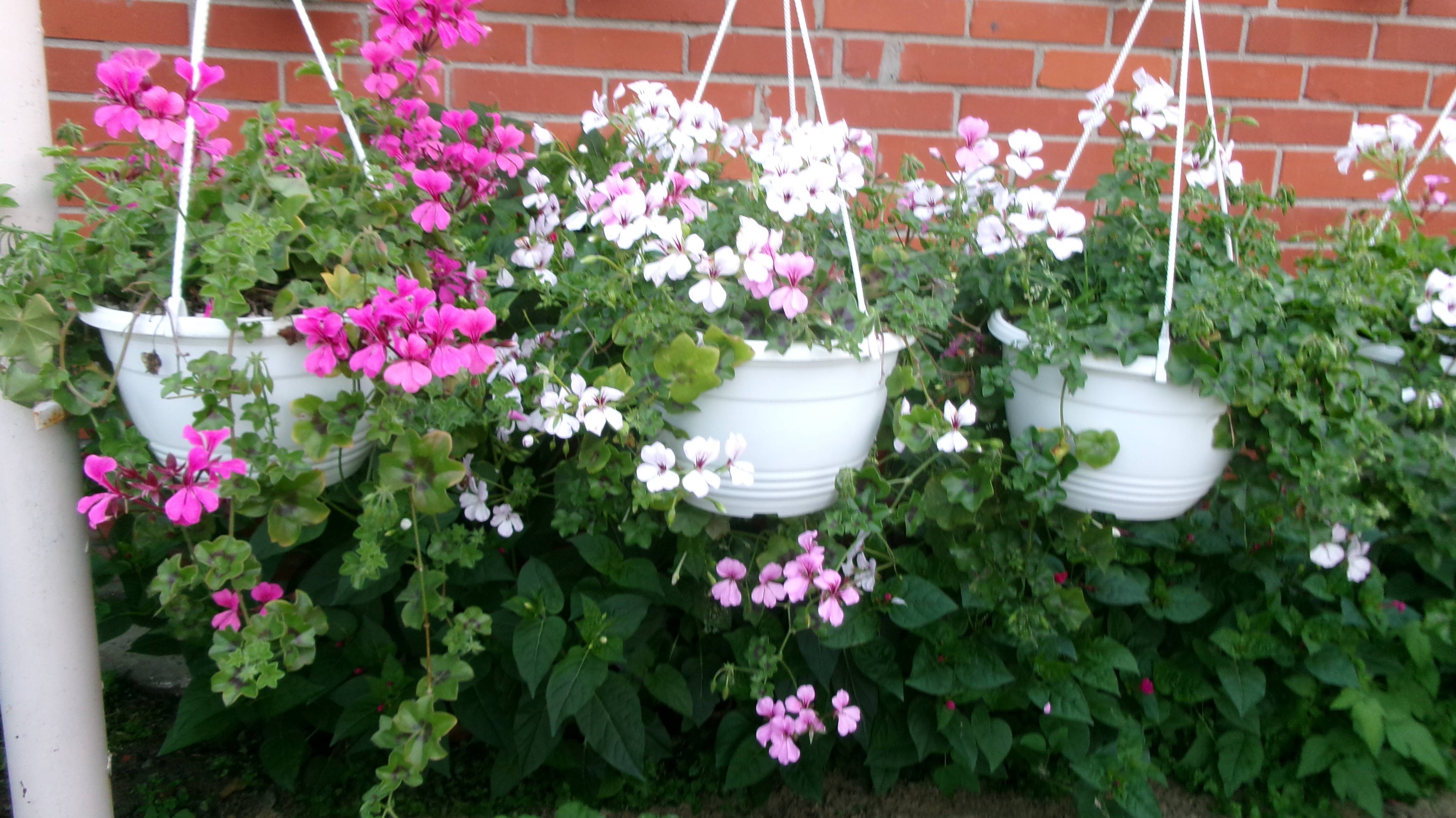 Посмотрите на мою осеннюю красоту. ХМАО Западная Сибирь.